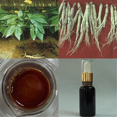  Panax Ginseng Root Oil ()